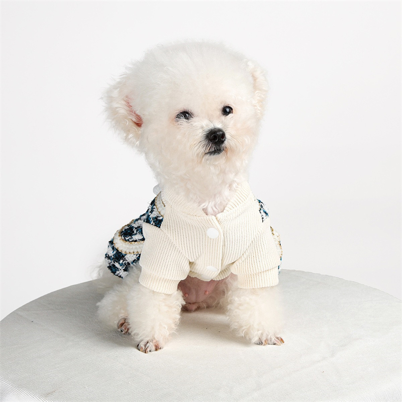 Prenses Küçük Orta Boy Köpek G - Winter Clothing Kids incelemesi ve fiyatı