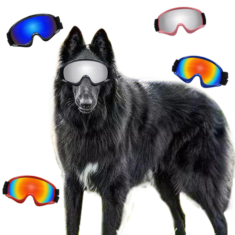 Evcil Hayvan Ürünleri Köpek Gö - Snow Goggle Uv incelemesi ve fiyatı