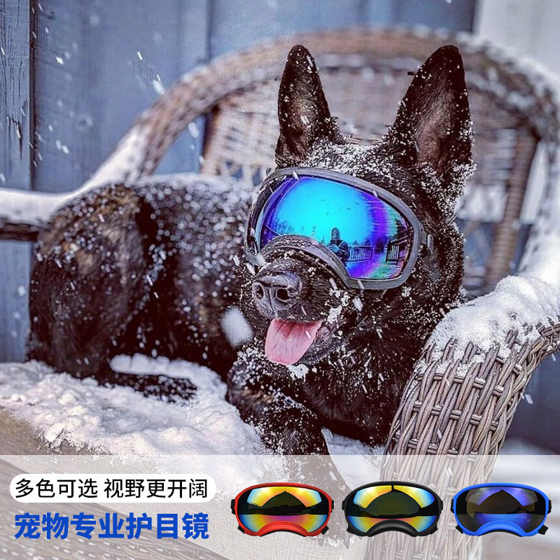 Köpek Gözlükleri Açık Hava Kay - Snow Goggle Uv incelemesi ve fiyatı
