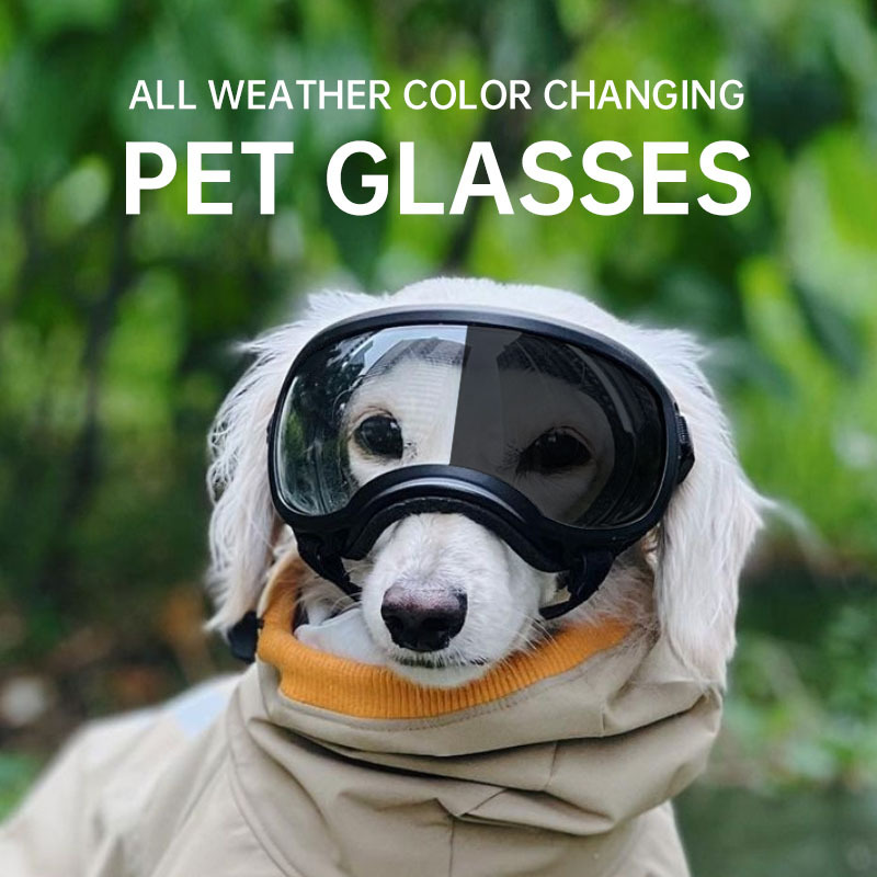 Renk değiştiren evcil hayvan g - Snow Goggle Uv incelemesi ve fiyatı